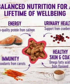 American Journey||Wellness American Journey Minced Salmon & Tuna Recipe in Gravy Grain-Free Canned Cat Food, 3-oz, case of 24 + Wellness Complete Health Natural Minced Salmon Dinner Grain-Free Canned Cat Food, 3-oz, case of 24 -American Journey Store 297778 PT5. SY630 V1621293139