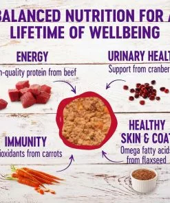 American Journey||Wellness American Journey Pate Beef & Chicken Recipe Grain-Free Canned Cat Food, 3-oz, case of 24 + Wellness Complete Health Adult Beef & Chicken Formula Grain-Free Canned Cat Food, 3-oz, case of 24 13 American Journey||Wellness American Journey Pate Beef & Chicken Recipe Grain-Free Canned Cat Food, 3-oz, case of 24 + Wellness Complete Health Adult Beef & Chicken Formula Grain-Free Canned Cat Food, 3-oz, case of 24 -American Journey Store 297786 PT5. SY630 V1621261051