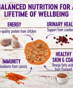 American Journey||Wellness American Journey Pate Poultry Variety Pack Grain-Free Canned Cat Food, 12.5-oz, case of 12 + Wellness Complete Health Poultry Lovers Pate Variety Pack Grain-Free Canned Cat Food, 5.5-oz, case of 30 -American Journey Store 297796 PT6. SY630 V1623251549