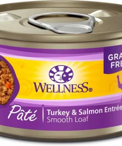 American Journey||Wellness American Journey Pate Salmon Recipe Grain-Free Canned Cat Food, 3-oz, case of 24 + Wellness Complete Health Turkey & Salmon Formula Grain-Free Canned Cat Food, 3-oz, case of 24 -American Journey Store 297798 PT4. SY630 V1623251547