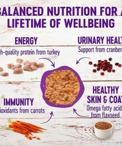 American Journey||Wellness American Journey Pate Salmon Recipe Grain-Free Canned Cat Food, 3-oz, case of 24 + Wellness Complete Health Turkey & Salmon Formula Grain-Free Canned Cat Food, 3-oz, case of 24 -American Journey Store 297798 PT6. SY630 V1623254566