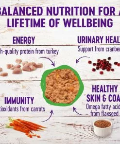 American Journey||Wellness American Journey Pate Turkey Recipe Grain-Free Canned Cat Food, 12.5-oz, case of 12 + Wellness Complete Health Turkey Formula Grain-Free Canned Cat Food, 12.5-oz, case of 12 13 American Journey||Wellness American Journey Pate Turkey Recipe Grain-Free Canned Cat Food, 12.5-oz, case of 12 + Wellness Complete Health Turkey Formula Grain-Free Canned Cat Food, 12.5-oz, case of 12 -American Journey Store 297802 PT5. SY630 V1623253662