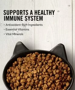 American Journey||Blue Buffalo American Journey Salmon Recipe Grain-Free Dry Cat Food, 5-lb bag + Blue Buffalo Wilderness Salmon Recipe Grain-Free Dry Cat Food, 5-lb bag -American Journey Store 297812 PT3. SY630 V1621301546