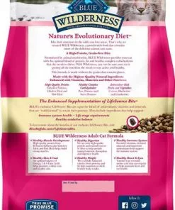 American Journey||Blue Buffalo American Journey Salmon Recipe Grain-Free Dry Cat Food, 5-lb bag + Blue Buffalo Wilderness Salmon Recipe Grain-Free Dry Cat Food, 5-lb bag -American Journey Store 297812 PT5. SY630 V1621306048