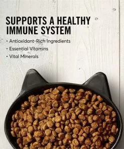 American Journey Salmon Recipe Grain-Free Dry Cat Food, 12-lb bag + American Journey 100% Chicken Freeze-Dried Grain-Free Cat Treats, 5-oz bag -American Journey Store 297814 PT3. SY630 V1621269456