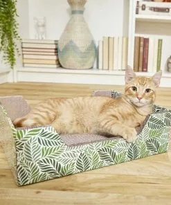 American Journey||Frisco American Journey Salmon Recipe Grain-Free Dry Cat Food, 12-lb bag + Frisco Step-In Cat Scratcher Toy with Catnip, Tropical Palms -American Journey Store 297820 PT6. SY630 V1623252150