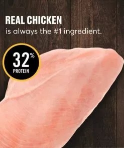 American Journey Indoor Cat Total Health Formula Chicken & Brown Rice Recipe Dry Cat Food, 15lb bag -American Journey Store 299537 PT3. SY630 V1630080994