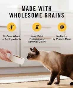 American Journey Indoor Cat Total Health Formula Chicken & Brown Rice Recipe Dry Cat Food, 15lb bag -American Journey Store 299537 PT4. SY630 V1630441580