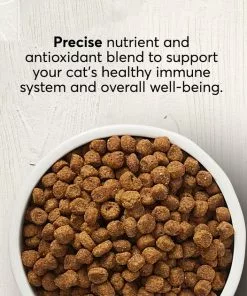 American Journey Indoor Cat Total Health Formula Salmon & Brown Rice Recipe Dry Cat Food, 15lb bag -American Journey Store 299539 PT2. SY630 V1630081008