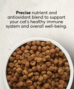 American Journey Sensitive Stomach Total Health Formula Salmon & Brown Rice Recipe Dry Cat Food, 15lb bag -American Journey Store 299544 PT2. SY630 V1630080685