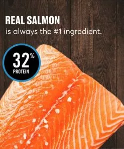 American Journey Sensitive Stomach Total Health Formula Salmon & Brown Rice Recipe Dry Cat Food, 15lb bag -American Journey Store 299544 PT3. SY630 V1630080704