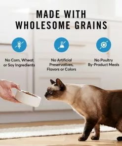 American Journey Sensitive Stomach Total Health Formula Salmon & Brown Rice Recipe Dry Cat Food, 15lb bag -American Journey Store 299544 PT4. SY630 V1630441586