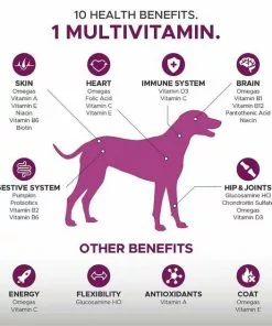 American Journey||PetHonesty American Journey Active Life Formula Beef, Brown Rice & Vegetables Recipe Dry Food + PetHonesty 10-for-1 Multivitamin with Glucosamine Soft Chews Dog Supplement -American Journey Store 301698 PT6. SY630 V1622641049