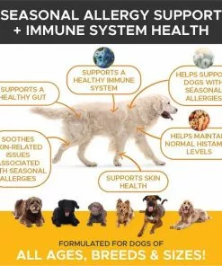 American Journey||PetHonesty American Journey Active Life Formula Chicken, Brown Rice & Vegetables Recipe Dog Food + PetHonesty Allergy Support Immunity Strength & Digestive Health Soft Chews Dog Supplement 16 American Journey||PetHonesty American Journey Active Life Formula Chicken, Brown Rice & Vegetables Recipe Dog Food + PetHonesty Allergy Support Immunity Strength & Digestive Health Soft Chews Dog Supplement -American Journey Store 301700 PT6. SY630 V1622659038