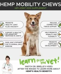American Journey||PetHonesty American Journey Active Life Formula Chicken, Brown Rice & Vegetables Recipe Dry Food + PetHonesty Hemp Mobility Snacks Hip + Joint Support Soft Chews Dog Supplement -American Journey Store 301704 PT6. SY630 V1622659039