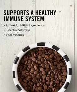 American Journey||Smart Pet Love American Journey Puppy Lamb & Sweet Potato Recipe Grain-Free Dry Food + Smart Pet Love Snuggle Puppy Behavioral Aid Dog Toy 13 American Journey||Smart Pet Love American Journey Puppy Lamb & Sweet Potato Recipe Grain-Free Dry Food + Smart Pet Love Snuggle Puppy Behavioral Aid Dog Toy -American Journey Store 301770 PT3. SY630 V1622821343
