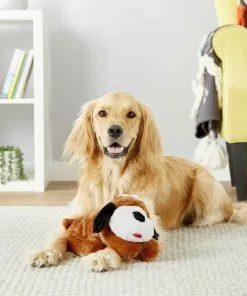 American Journey||Smart Pet Love American Journey Puppy Lamb & Sweet Potato Recipe Grain-Free Dry Food + Smart Pet Love Snuggle Puppy Behavioral Aid Dog Toy 17 American Journey||Smart Pet Love American Journey Puppy Lamb & Sweet Potato Recipe Grain-Free Dry Food + Smart Pet Love Snuggle Puppy Behavioral Aid Dog Toy -American Journey Store 301770 PT7. SY630 V1622823748