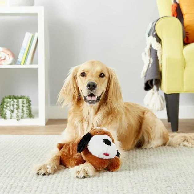 American Journey||Smart Pet Love American Journey Puppy Lamb & Sweet Potato Recipe Grain-Free Dry Food + Smart Pet Love Snuggle Puppy Behavioral Aid Dog Toy 10 American Journey||Smart Pet Love American Journey Puppy Lamb & Sweet Potato Recipe Grain-Free Dry Food + Smart Pet Love Snuggle Puppy Behavioral Aid Dog Toy - Image 8