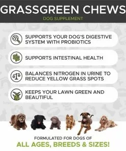 American Journey||PetHonesty American Journey Active Life Formula Senior Chicken, Brown Rice & Vegetables Recipe Dry Food + PetHonesty GrassGreen Snacks Cranberry Extract with Probiotics Soft Chews Dog Supplement -American Journey Store 302226 PT6. SY630 V1623080257