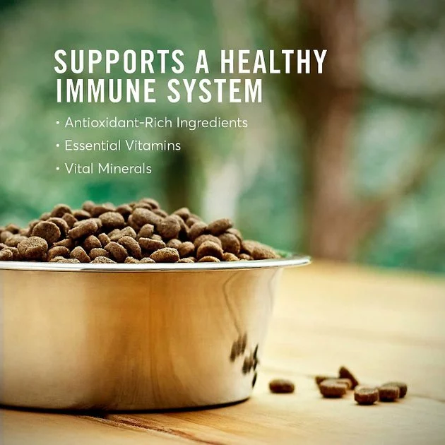 American Journey Active Life Formula Senior Chicken, Brown Rice & Vegetables Recipe Dry Food + Poultry & Beef Variety Pack Grain-Free Canned Dog Food 6 American Journey Active Life Formula Senior Chicken, Brown Rice & Vegetables Recipe Dry Food + Poultry & Beef Variety Pack Grain-Free Canned Dog Food - Image 4