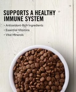 American Journey||KONG American Journey Senior Chicken & Sweet Potato Recipe Grain-Free Dry Food + KONG Senior Dog Toy, Large -American Journey Store 302324 PT3. SY630 V1623049367