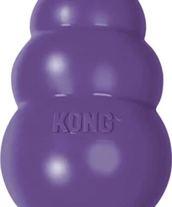 American Journey||KONG American Journey Senior Chicken & Sweet Potato Recipe Grain-Free Dry Food + KONG Senior Dog Toy, Large -American Journey Store 302324 PT4. SY630 V1623053555