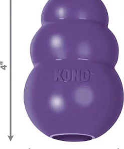 American Journey||KONG American Journey Senior Chicken & Sweet Potato Recipe Grain-Free Dry Food + KONG Senior Dog Toy, Large -American Journey Store 302324 PT5. SY630 V1623056266