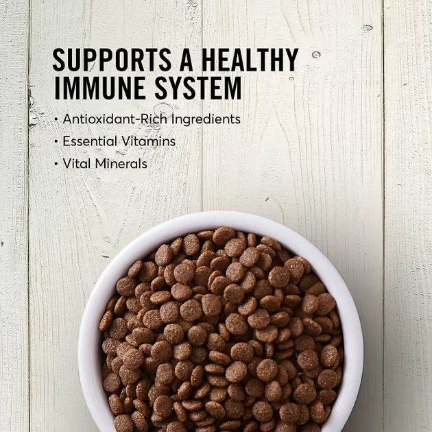 American Journey||KONG American Journey Senior Salmon & Sweet Potato Recipe Grain-Free Dry Food + KONG Senior Dog Toy, Large 6 American Journey||KONG American Journey Senior Salmon & Sweet Potato Recipe Grain-Free Dry Food + KONG Senior Dog Toy, Large - Image 4