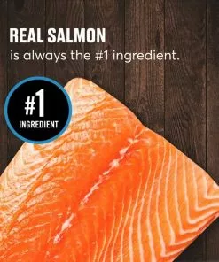 American Journey Senior Pate Salmon Recipe Canned Cat Food -American Journey Store 330853 PT3. SY630 V1637695025