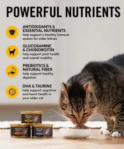 American Journey Pate Senior Wet Cat Food Variety Pack -American Journey Store 331112 PT4. SY630 V1641843468