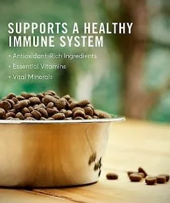 American Journey Active Life Formula Lamb & Garden Vegetables Recipe Canned Dog Food + Lamb, Brown Rice & Vegetables Recipe Dry Food 19 American Journey Active Life Formula Lamb & Garden Vegetables Recipe Canned Dog Food + Lamb, Brown Rice & Vegetables Recipe Dry Food -American Journey Store 516534 PT8. SY630 V1650092497