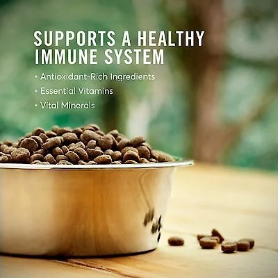 American Journey Active Life Formula Lamb & Garden Vegetables Recipe Canned Dog Food + Lamb, Brown Rice & Vegetables Recipe Dry Food 11 American Journey Active Life Formula Lamb & Garden Vegetables Recipe Canned Dog Food + Lamb, Brown Rice & Vegetables Recipe Dry Food - Image 9