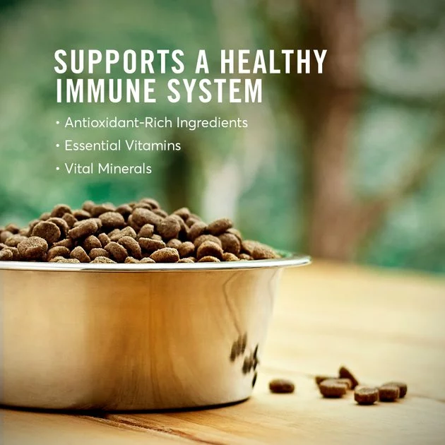 American Journey Active Life Formula Beef & Garden Vegetables Recipe Canned Dog Food + Beef, Brown Rice & Vegetables Recipe Dry Food 10 American Journey Active Life Formula Beef & Garden Vegetables Recipe Canned Dog Food + Beef, Brown Rice & Vegetables Recipe Dry Food - Image 8