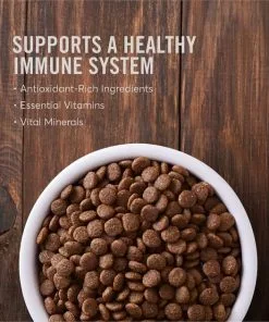 American Journey Turkey Recipe Grain-Free Canned Dog Food + Limited Ingredient Turkey & Sweet Potato Recipe Dry Food -American Journey Store 523078 PT8. SY630 V1650049584