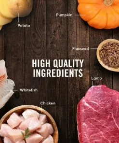 American Journey Lamb Recipe + Beef & Chicken Recipe Canned Dog Food 15 American Journey Lamb Recipe + Beef & Chicken Recipe Canned Dog Food -American Journey Store 574638 PT4. SY630 V1657660392