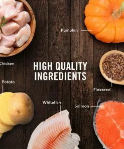 American Journey Chicken & Salmon Recipe Canned Food + Salmon & Sweet Potato Recipe Dry Dog Food -American Journey Store 574646 PT4. SY630 V1657660393