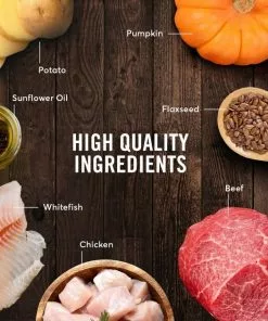 American Journey Beef Recipe Canned Food + Beef & Sweet Potato Recipe Dry Dog Food -American Journey Store 574654 PT4. SY630 V1657660393